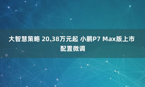 大智慧策略 20.38万元起 小鹏P7 Max版上市 配置微调